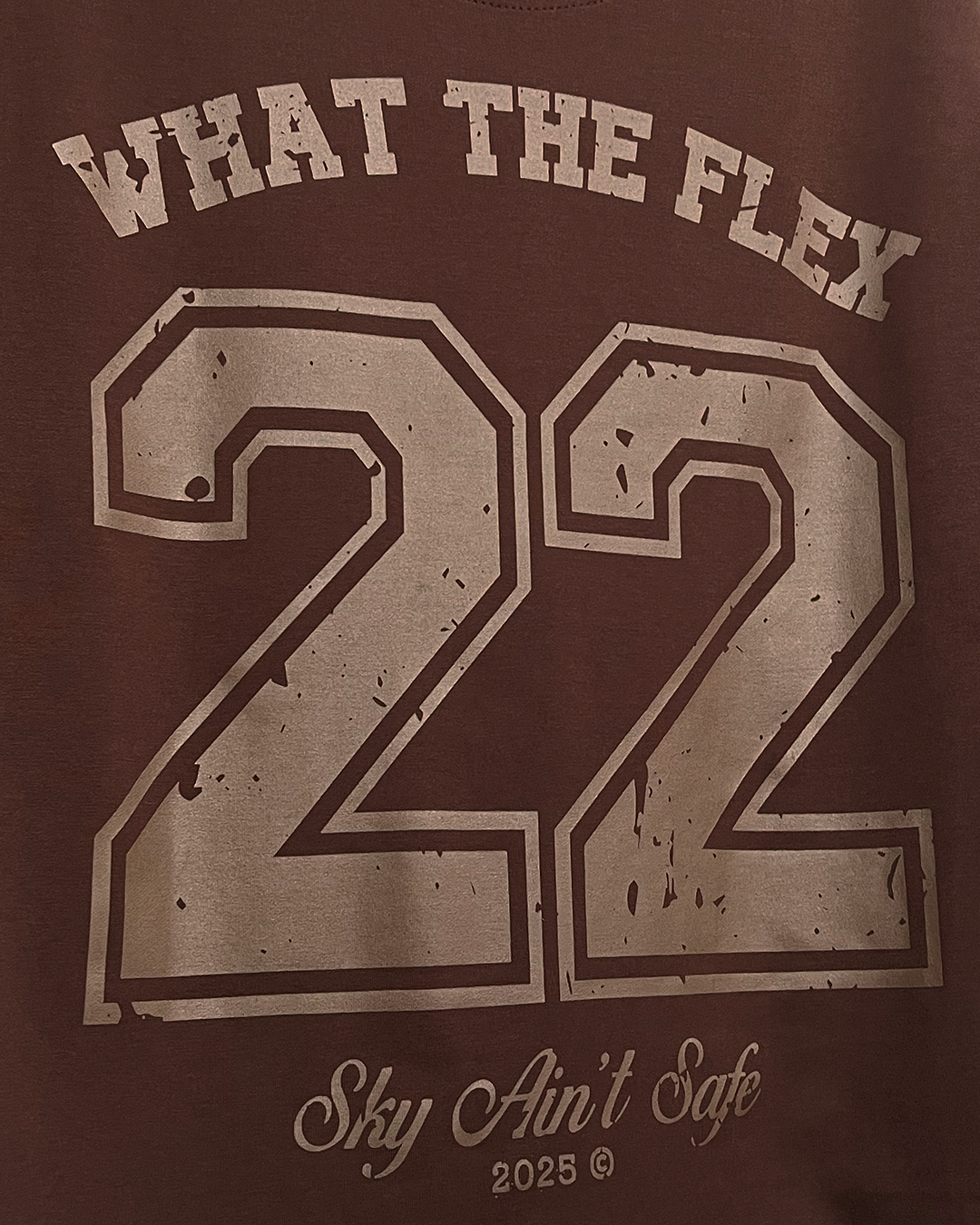 Skyfall Brown Boxy Fit T-Shirt