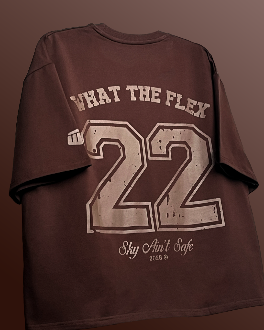 Skyfall Brown Boxy Fit T-Shirt